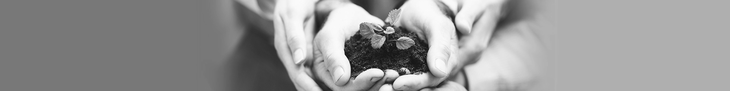 Karina Fincap  Limited