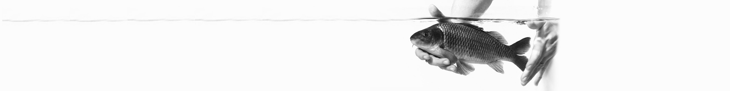 Karina Fincap Limited